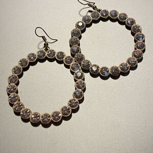 Elegant Gold and Silver Hoop Earrings